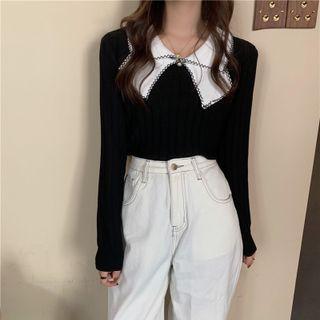 Embroidered Trim Ribbed Polo Knit Top