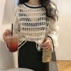 Crochet Knit Long-sleeve Top As Shown In Figure - One Size