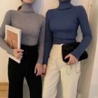 Turtleneck Long-sleeve Plain Knit Top