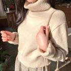 Turtle-neck Textured Cropped Sweater