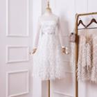 Long-sleeve Maxi Feather A-line Dress