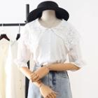 Bell-sleeve Lace Collar Blouse