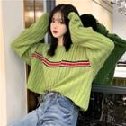 Striped Panel Cropped Sweater