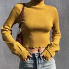 Mock-neck Lantern-sleeve Knit Top