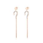 Simple And Fashion Plated Rose Gold 316l Stainless Steel Star Fringed Earrings With Cubic Zircon Rose Gold - One Size