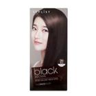 The Face Shop - Stylist Silky Hair Color Cream (#3n Black Brown) 130ml
