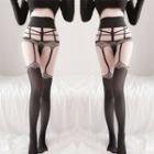 Cut-out Lace Trim Tights Black - One Size