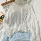 Embroidered Sheer Loose Shirt White - One Size
