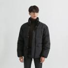 Stand-collar Boxy Padded Jacket In 12 Colors