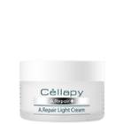 Cellapy - A.repair Plus Light Cream 50ml 50ml