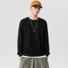 Long-sleeve Crew Neck Plain Sweatshirt