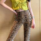 Leopard Print Boot-cut Pants