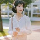 Long-sleeve V-neck Plain Chiffon Blouse