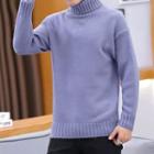 Turtleneck Sweater / V-neck Long-sleeve Knit Top