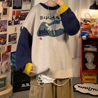 Cat Print Color Block Sweater