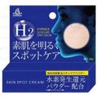 Brain Cosmos - Skin Spot Cream 10g