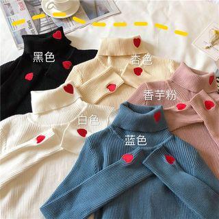 Turtleneck Heart Embroidered Ribbed Knit Top