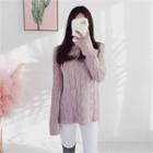 Turtle-neck Raglan-sleeve Cable-knit Sweater
