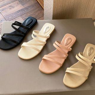 Roman Mules