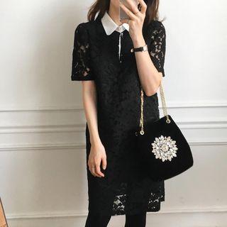 Short Sleeve Collar Lace Dress