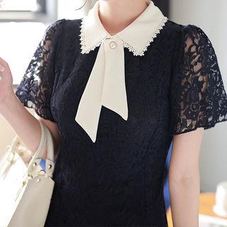 Contrast-collar A-line Lace Dress