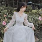 Long-sleeve V-neck Mesh Midi A-line Dress