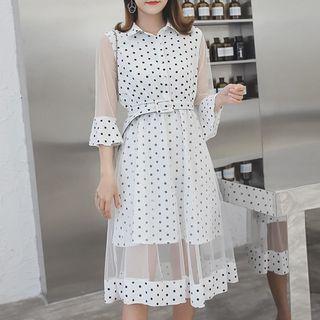 Mesh Panel Polka Dot A-line Dress