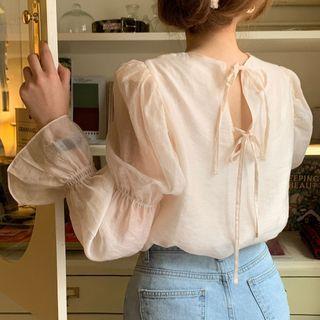 Long-sleeve Mesh Blouse Almond - One Size