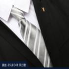 Genuine Silk Striped Neck Tie Zsld049 - Silver - One Size