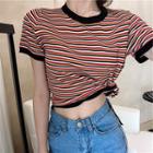 Striped Knit T-shirt Stripe - One Size