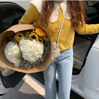 Ruffled Collared Blouse / Cardigan
