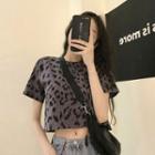 Short-sleeve Leopard Cropped T-shirt