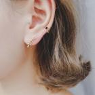 Leaves Earring