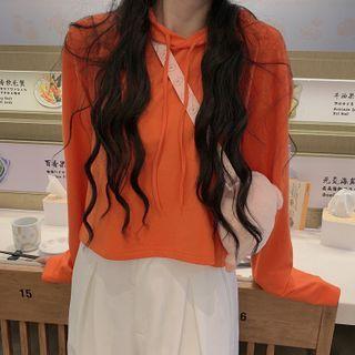 Long-sleeve T-shirt / Plain Hoodie