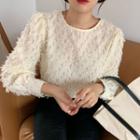 Long-sleeve Textured Sheer Blouse