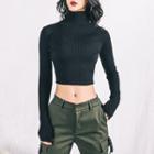 Turtleneck Cropped Long-sleeve Knit Top