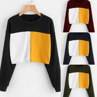 Colored Panel Cropped Sweatshirt