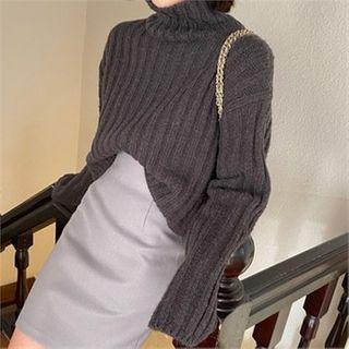 Turtle-neck Ribbed Cropped Knit Top
