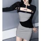Set: Long-sleeve Crop Top + Spaghetti Strap Two-tone Mini Sheath Dress