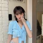 Short Sleeve V-neck Ruffled Trim Ribbon Top Blue - One Size