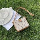 Cat Print Panel Crossbody Bag