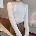 Plain Semi High-neck Fleece-lined Long-sleeve Top