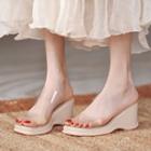 Transparent Strap Wedge Heel Slide Sandals