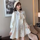Long-sleeve Satin Mini A-line Shirt Dress Almond - One Size
