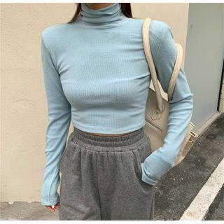 Turtleneck Plain Cropped T-shirt