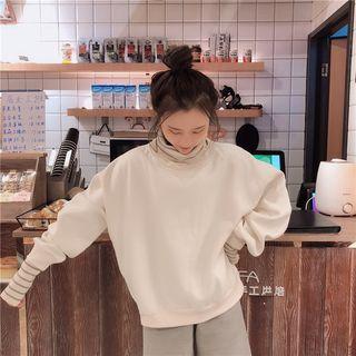 Striped Panel High Neck Pullover