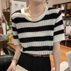 Short-sleeve Round-neck Striped Pointelle Knit Top