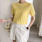 Textured Pleated Knit Crop Top