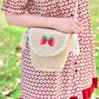 Embroidered Straw Crossbody Bag Off-white - One Size