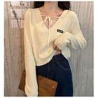 Lace Up V-neck Cropped Top